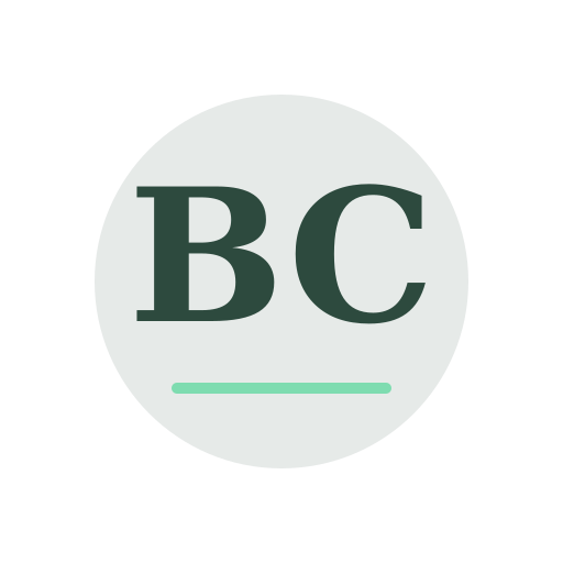 Briggs Chimney Service logo
